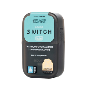 Boutiq Switch V4 THCA Disposable 2G